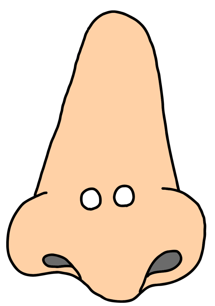 Nose